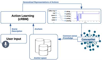 Learning Actions to Improve the Perceptual Anchoring of Objects